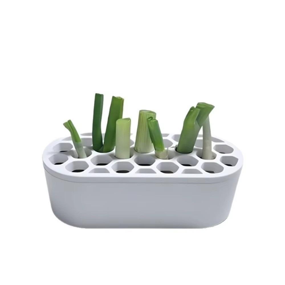 Multi-Hole Design Hydroponic Growing Kit Breathable Plastic Breathable Plant Container For Kitchen