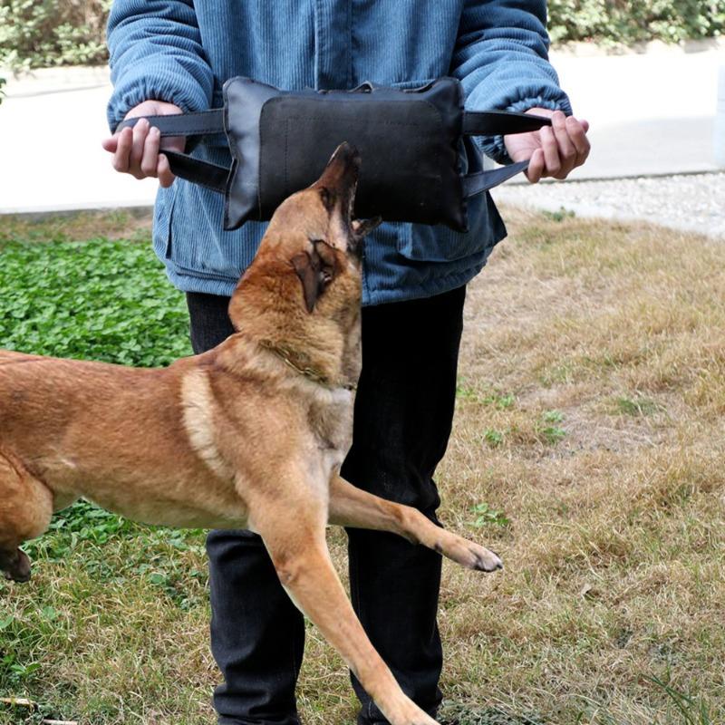 Pet Supplies Dog Training Cowhide Bite Target Bite Pillow German Shepherd Horse Dog Bite Toy Dog Training Interaction