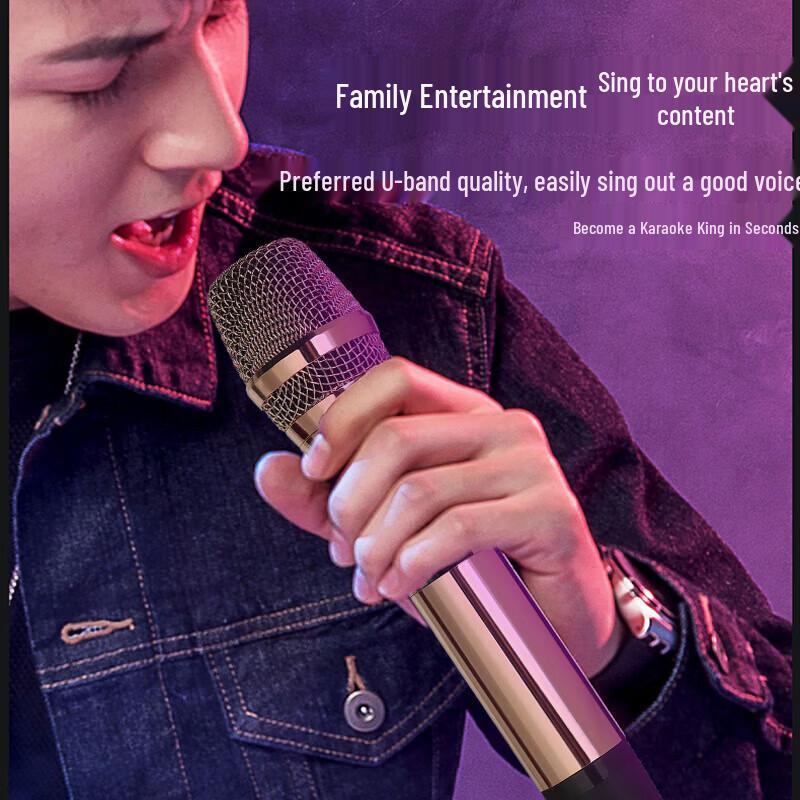Huidu Professional Conference Audio Visual System (CN version)
