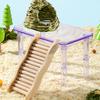 Hamster Platform Transparent Detachable Decorative Landscaping Clear Food Bowl Storage Burr-free Pet Stand Play Climbing Toy Pet Supplies