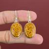 Серьги из ископаемого коралла, серебряные серьги 925 пробы, элегантные ювелирные изделия, серьги из натурального драгоценного камня, ювелирные изделия из ископаемого коралла, серьги ручной работы, свадебный подарок