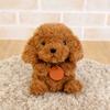 Potte Poodle Plush Toy K-8206