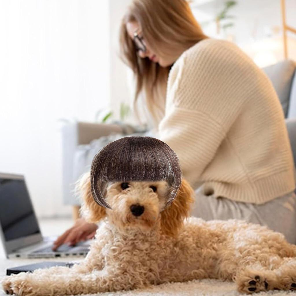 Comfortable Pet Wig Hair Festival Props Costume Wig Hair for Small Dogs Theme Event Pet Cosplay Accessory Headpieces