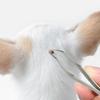 2 In 1 Dog Louse Clip Professional Tick Remover Tweezers Home Accessories Tick Tweezers  Humans