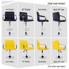 Adjustable Counter Stool with Backrest
