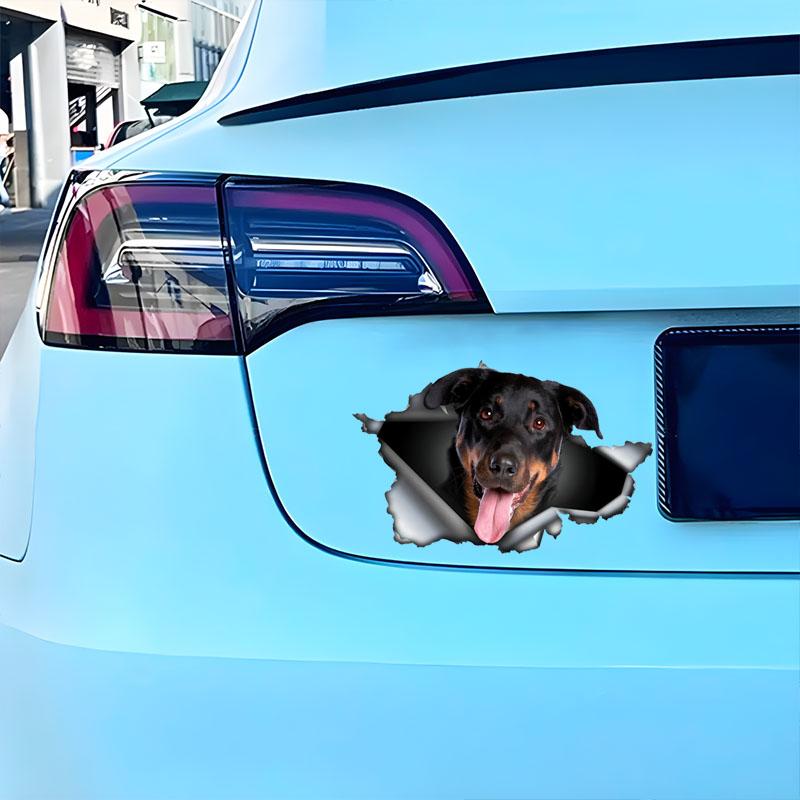 Beauceron Car Stickers Scratch Blocking Self-Adhesive Waterproof Decal, Used for Car, Laptop, Motorcycle, Van, RV