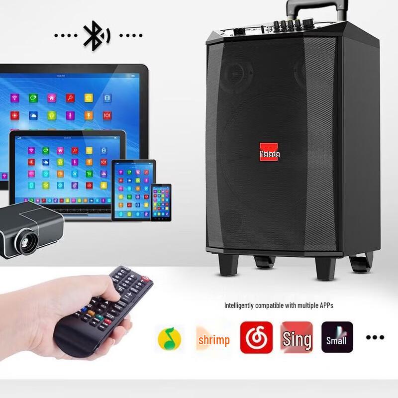 Malata Thunder Fire M+9296 12-inch Portable KTV Speaker (CN version)