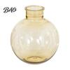Thickened Resin Plant Pot Clear Round Vase, Transparent Sphere Flower with Jute Small Vase for Dried Flowers Bow, Modern Plastic Planter Hydroponic