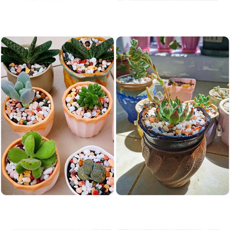 500/1000 г Декоративный камень для аквариума Натуральный камень Rainflower Песок для дна аквариума Воздушное растение Декоративные цветные камни для DIY TMZ