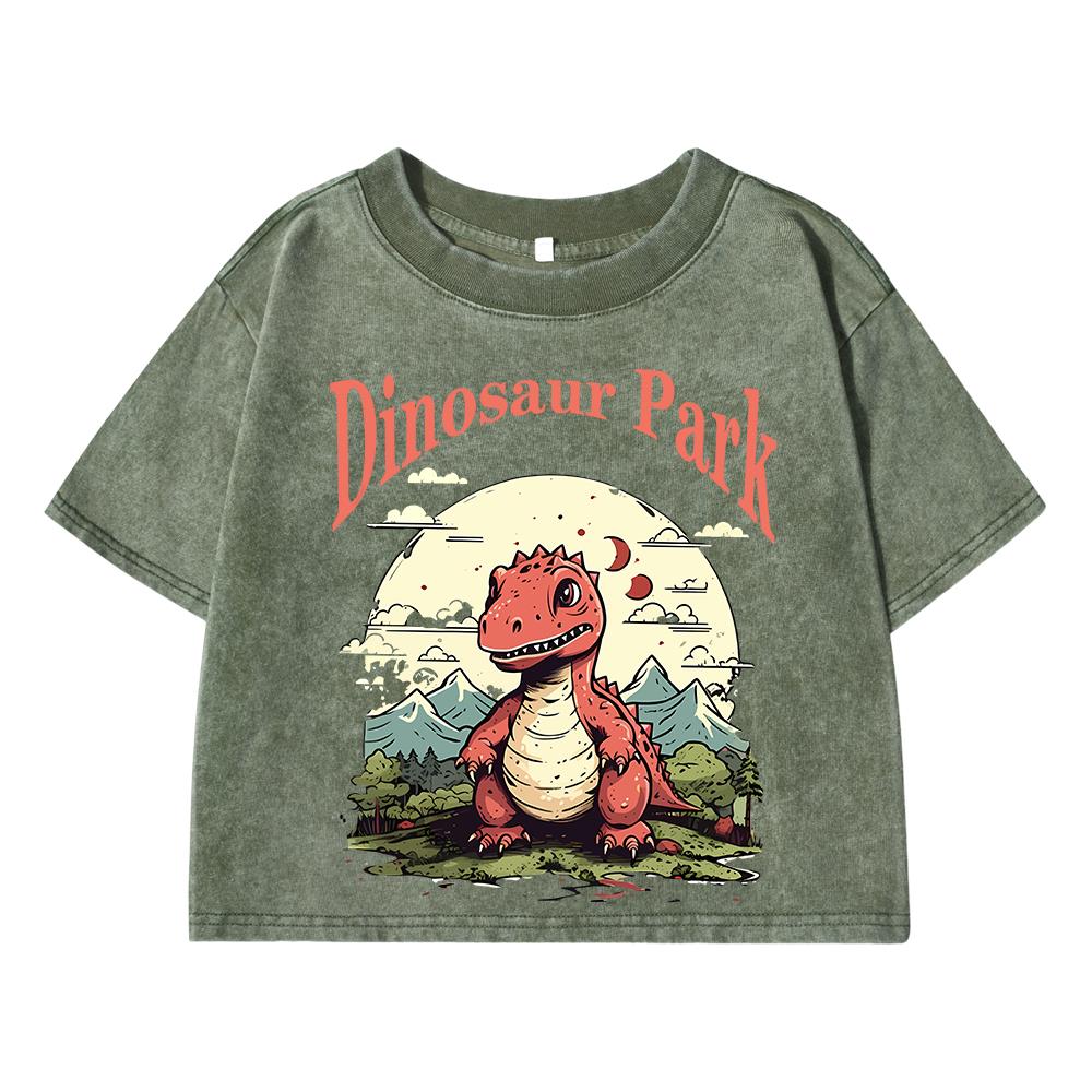 Dinosaur Park Cartoon Print Women Washed Short T Shirts Summer Fashion T Shirts Airy O-Neck Tee Shirts Soft Oversize Clothes