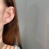 Korean Version of Niche Exquisite Earrings Mini Earrings