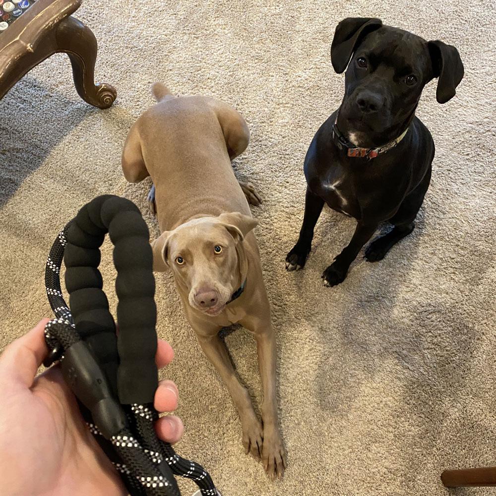 Веревочный поводок для собаки 3/5 м с мягкой подкладкой на ручке, очень светоотражающий, сверхпрочный, поводок-веревка для маленьких, средних, крупных собак, аксессуары