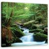 Canvas Print Forest Mountains Stream Nature