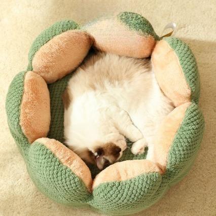 Cactus Cat Bed Enclosed Warm Pet House for All Seasons Winter Summer Dog Bed