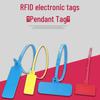 LANXUM Электронная подвесная метка RFID CN-вилка (адаптер в комплекте)