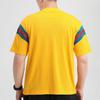 Nike Мужская баскетбольная футболка Giannis Dri-Fit, университетское золото, CK6297-739