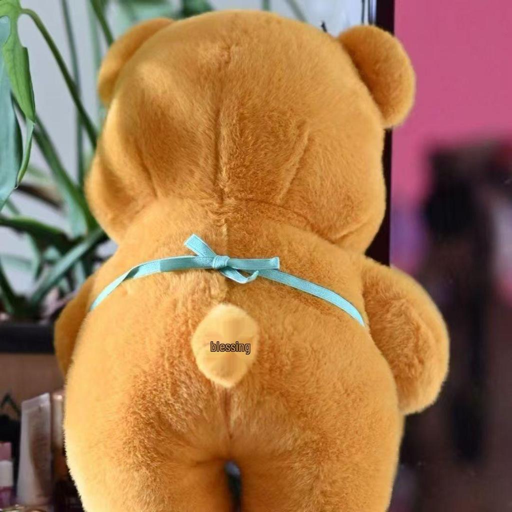 Teddy Butter Bear Plush Toy - Cute, Sleepy Bear Doll for Girls, Ideal Graduation Gift