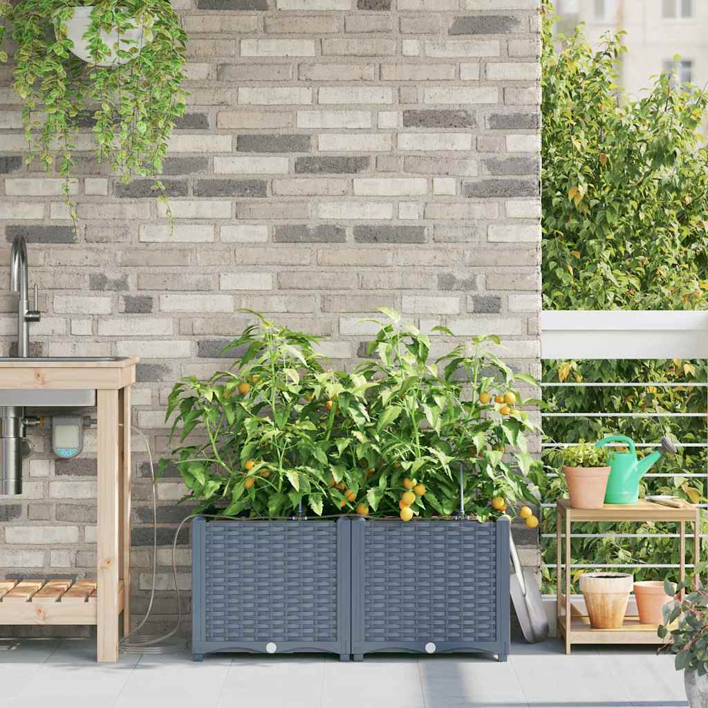 Garden Planter 2 pcs Light Grey 80 x 40 x 37.5 cm Plastic