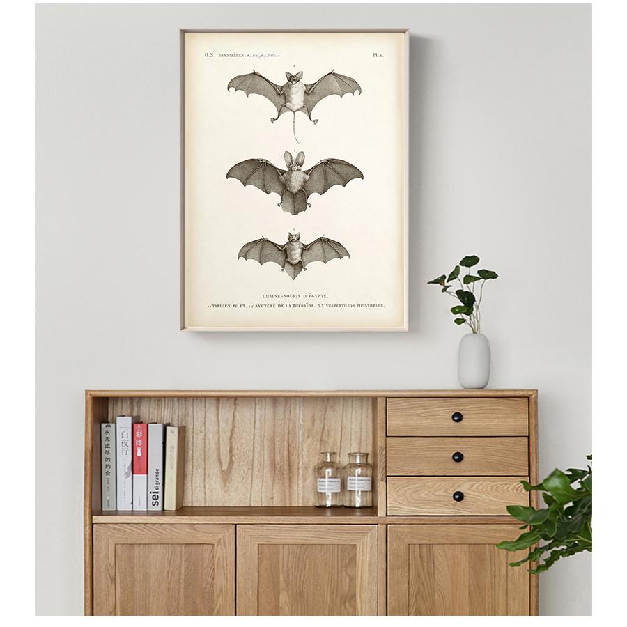 Художественная картина на холсте, антикварный постер с изображением летучей мыши, настенная картина для гостиной, украшения дома, винтажный принт с летучей мышью, стена на Хэллоуин