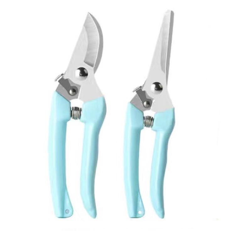 Садовые ножницы для обрезки: Инструмент для ухода за цветами, фруктами и деревьями