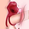 Вибрирующее кольцо на член Стимулятор клитора Мужское удовольствие Кольцо на пенис Вибратор Игры для взрослых Секс-игрушки для женщин Секс-игрушка для пары