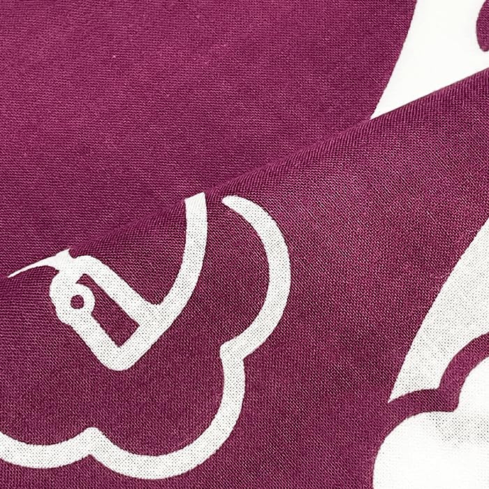 Крашение Anbo Полотенце для рук Зодиак Janome Слива Аутентичное Сделано в 35 см x 100 см "2025 год, Уме, Цвет" Окрашено, 100% хлопок, Токуока, Япония,