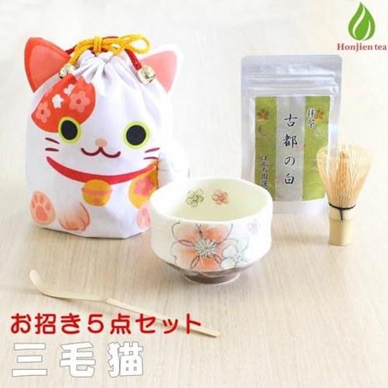 Honji-en Matcha Set Calico Cat Tea Ceremony Tools 5-Piece Invitation Pouch Outdoor Enjoyment