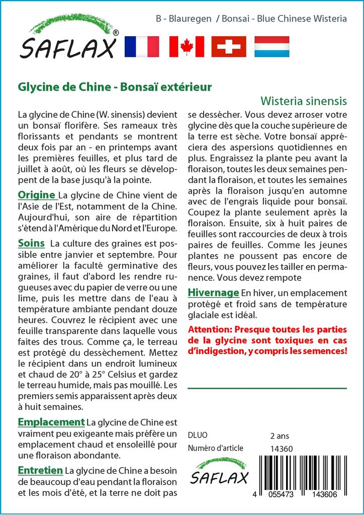 SAFLAX Garden in the Bag - Бонсай - Глициния китайская голубая - 4 семени - С субстратом в подходящем пакете - Wisteria sinensis