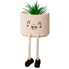 Ceramic Hanging Planter Pot with Succulent Funny Face Figurine
