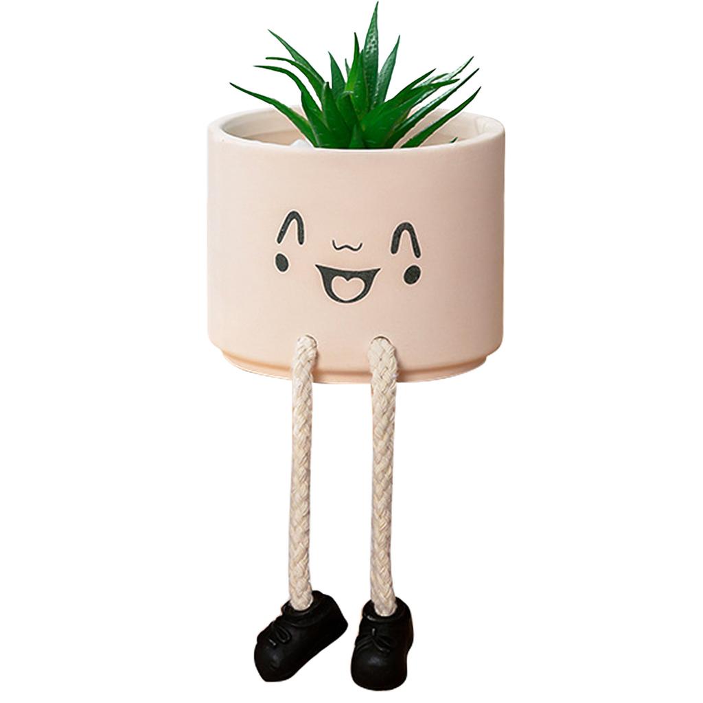 Ceramic Hanging Planter Pot with Succulent Funny Face Figurine