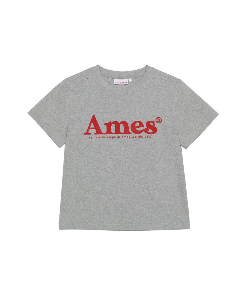 AMES-WORLDWIDE Базовая футболка с логотипом Серая