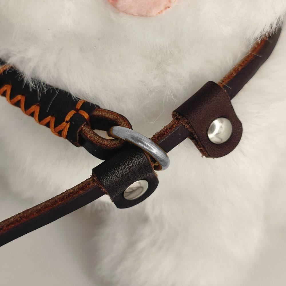 Soft Genuine Leather Dog Slip Lead No Pull Training Leash for Small Dogs and Cats Lightweight Pet Leads Puppy Dog Walking Leash