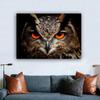 НАДЕЖНОЕ ИСКУССТВО Куадрос Глаза Совы Птицы Животные Картины Холст Картины Настенные Панно Для Гостиной Современная Декоративная Живопись
