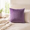 Solid Color Velvet Pillow Cover, Soft Plush Throw Pillow Case, 17.7x17.7 Inch Smooth Velvet Cushion Cover for Sofa, Bed, Office, Cozy Home Decor