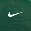 Nike Куртки и Пальто Мужские Canyon Green IB8766-341