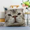 Cat FunnyAbstract Emoji Pillow Cover Removable  Washable Home Cushion Cover