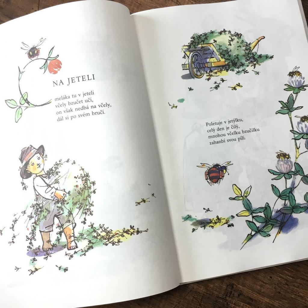 [Б/У] Иностранные книги, чешские иллюстрированные книги, винтажные книги