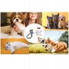 Dyson V7 V8 V10 V11 V15 Dog Cat Hair Brush + Tube