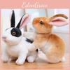 Creative Rabbit Cartoon Plush Toy Photography Decorative Props Stand Cute Pose