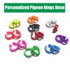 Personalized Pigeon Foot Ring Inner Diameter 8mm Print ''Name/Phone Number" Bird doves Foot Ring 100 Pcs