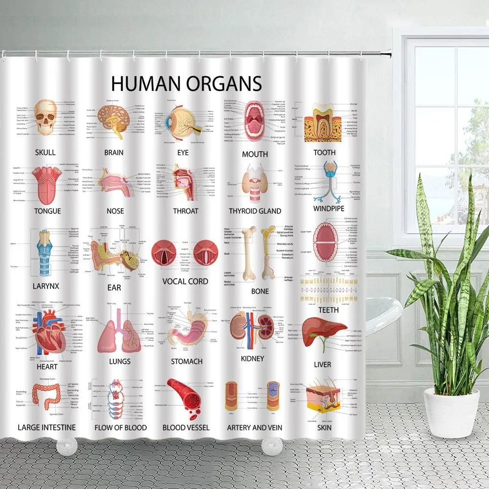 Винтажные Старые Газеты Шторки для Душа Франция Эйфелева Башня Периодическая Таблица Шторка для Ванной Ретро Ткань с Принтом Домашний Декор для Ванной Se