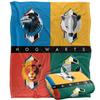 Bold Hogwarts Houses Blanket