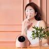 Инструмент для SPA-массажа глаз с распылением, горячий и холодный спрей, фумигация, нагревательный компресс, снятие сухости глаз, уход за глазами