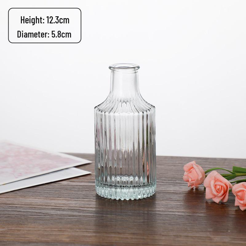 Small French Retro Glass Hydroponic Vase for Home Decor