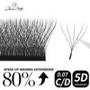 5D W Shaped Eyelash Extension 12 Rows W Style Russian Volume Lashes Soft Natural Faux Mink Eyelashes