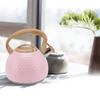 Tea Kettle 3L Teapot 304 Stainless Steel Household Whistling Tea Kettle Water Kettle Tea House Accessories