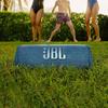 JBL Портативная Bluetooth-колонка Flip 6, штекер CN (адаптер в комплекте)