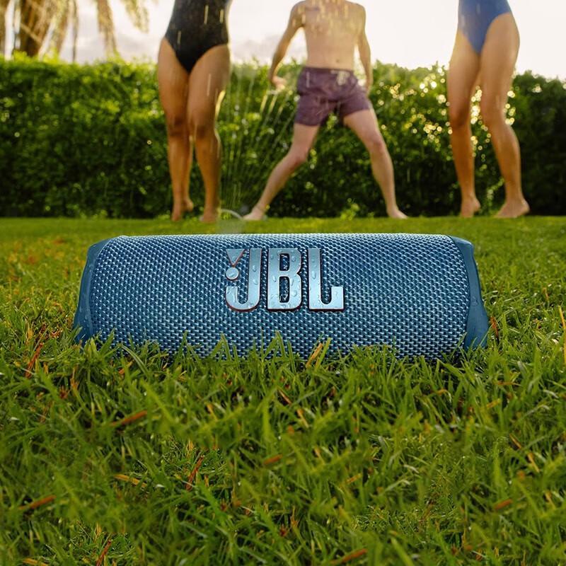 JBL Портативная Bluetooth-колонка Flip 6, штекер CN (адаптер в комплекте)