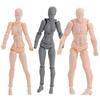 Игрушка-фигурка Человеческие позы Мужчина и женщина Рисование фигур Человеческая манекен-фигурка Модель Фигурка
