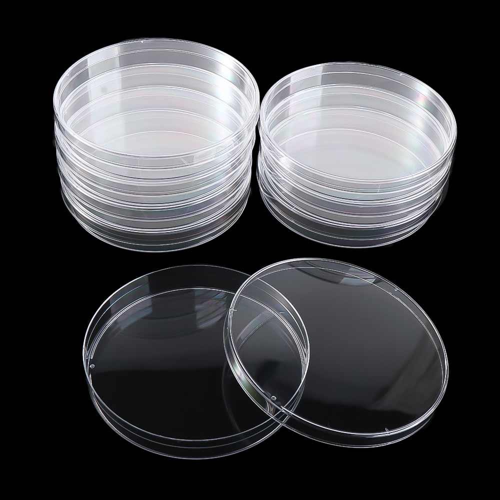 55x15mm 90x15mm Clear Petri Dish Sterile Petri Dishes Petri Dishes Bacteria Culture Dish